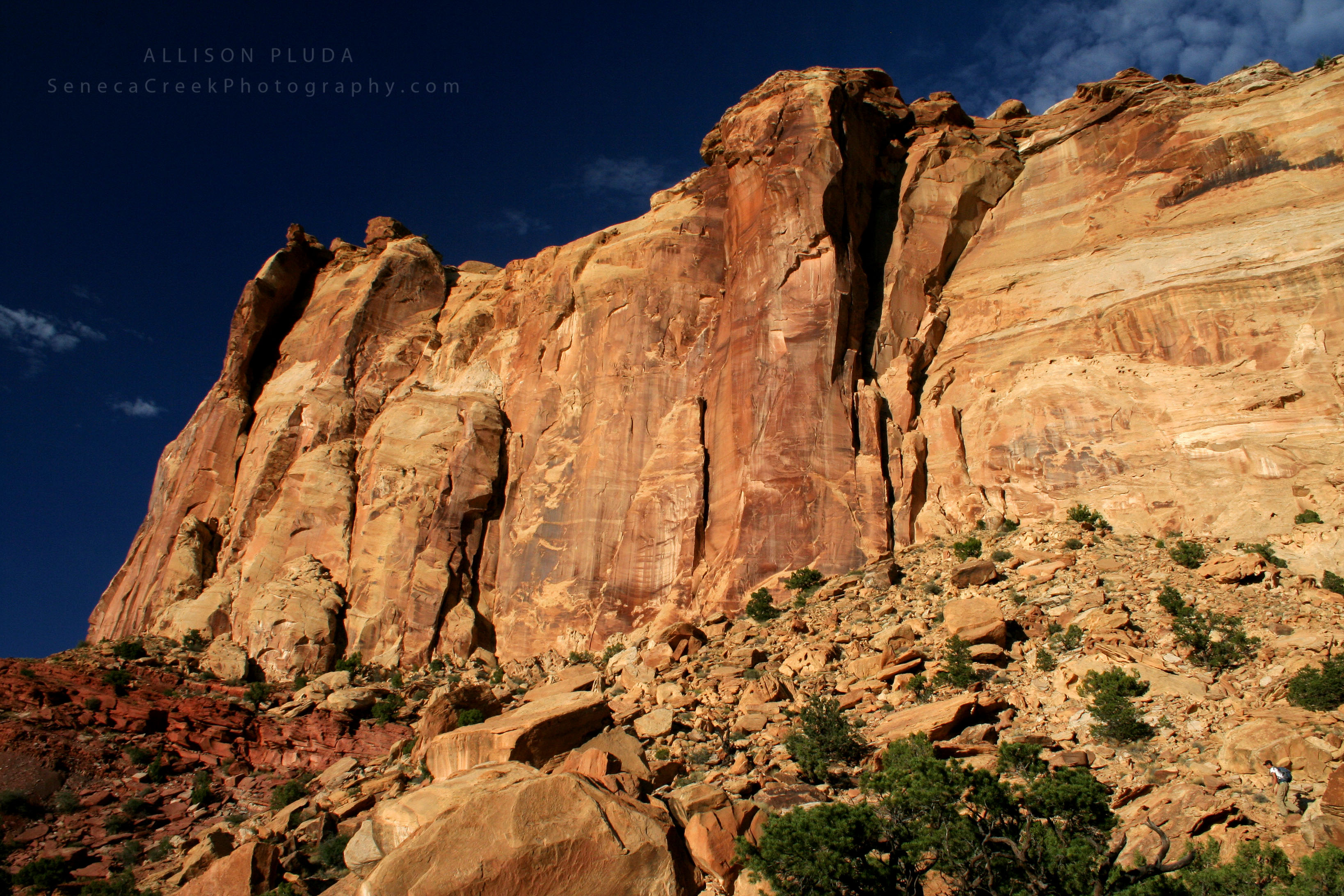 Little Wildhorse Canyon Walls, Utah