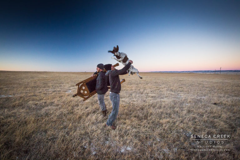 Band Portraits – Dauphin Promo Shoot at Prairie Monarch Bison Ranch, Laramie, Wyoming