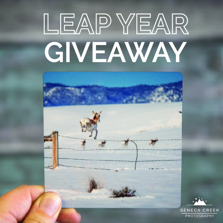Leap Year Pronghorn Mini Metal Giveaway-01