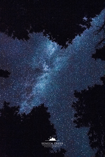 SenecaCreekPhotography.com - gazing up at the milky way on a new moon in wyoming, stars