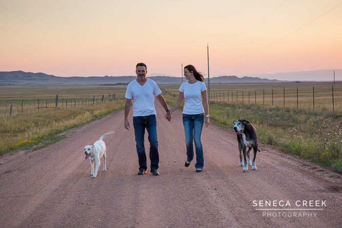 SenecaCreekPhotography.com by Allison Pluda - Beth and Jeremy Family Portraits with the Dogs and a 1966 Ford Mustang Wyoming Dirt Road Sunset