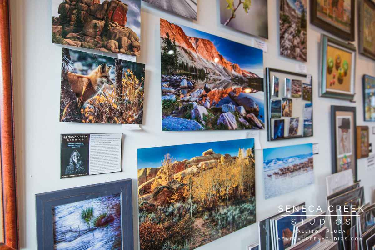 SenecaCreekStudios.com by Allison Pluda - Metal Prints at Works of Wyoming - fine art photography - Seneca-Creek-Photography-161215-SCP11300-40
