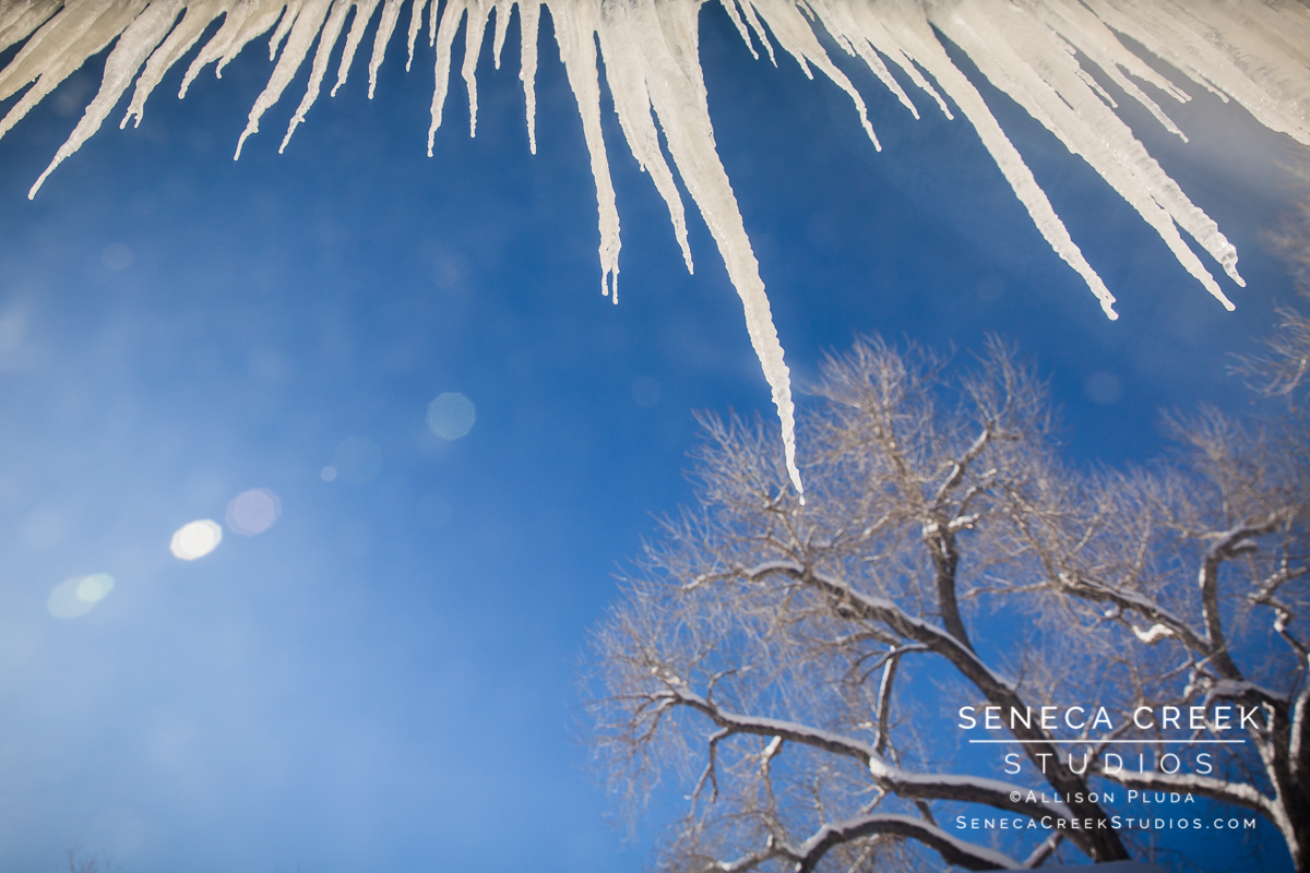 SenecaCreekStudios.com by Allison Pluda - winter in Wyoming with subzero temperatures - winter storm - Seneca-Creek-Studios-170105-SCP11478-85