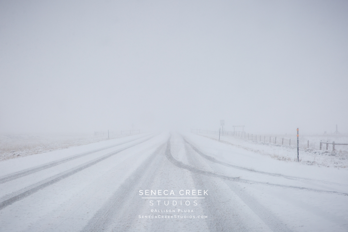 SenecaCreekStudios.com | Fine Art Nature and Landscape Photography, Prints, and Stock Licensing by Allison Pluda | Laramie, Wyoming | First Snow Fall Tress Mountains Winter | Seneca-Creek-Studios-171002-SCS19673-59