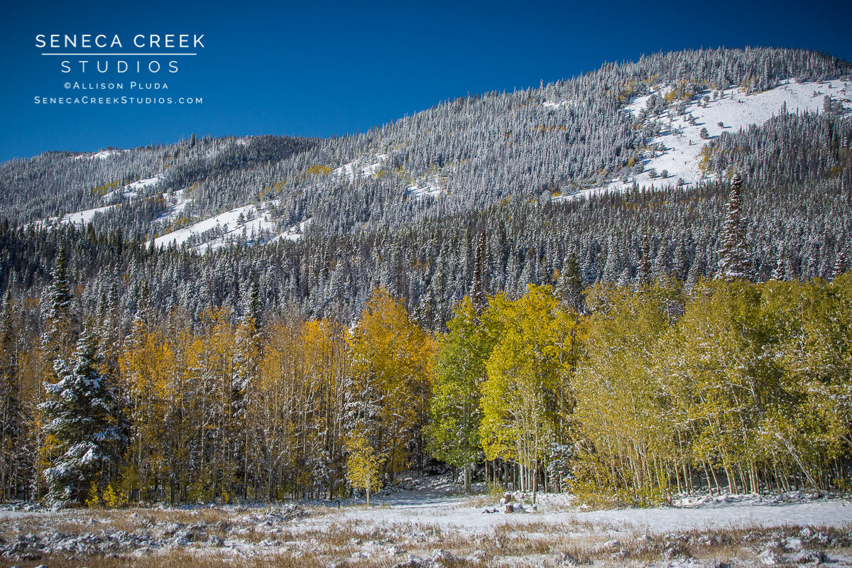 SenecaCreekStudios.com | Fine Art Nature and Landscape Photography, Prints, and Stock Licensing by Allison Pluda | Laramie, Wyoming | First Snow Fall Tress Mountains Winter | Seneca-Creek-Studios-171003-SCS19675-61