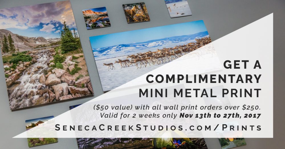 SenecaCreekStudios.com by Allison Pluda | Fine Art Nature and Landscape Photography from Wyoming | Family, Womens, and Holiday Studio Portrait Sessions | Headshots | Visual Marketing and Branding | Website and Graphic Design | Astrophotography fine art archival wall prints | Historic Downtown Laramie, Wyoming | 2017-11 Mini Metal Promotion November Holidays Shared Link Posts_10