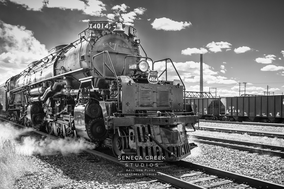 Union Pacific Big Boy Train Sturdy Metal Sign Logo Photo