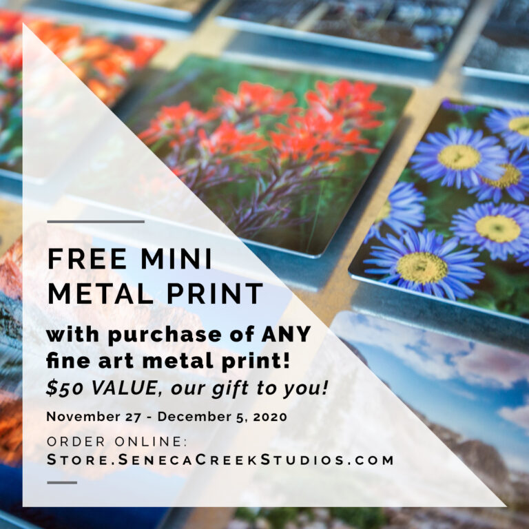 FREE Fine Art Mini Metal Print With All Metal Print Purchases for ONE WEEK ONLY | Laramie, Wyoming Landscape Photography